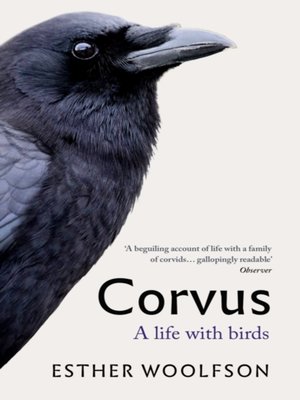 cover image of Corvus